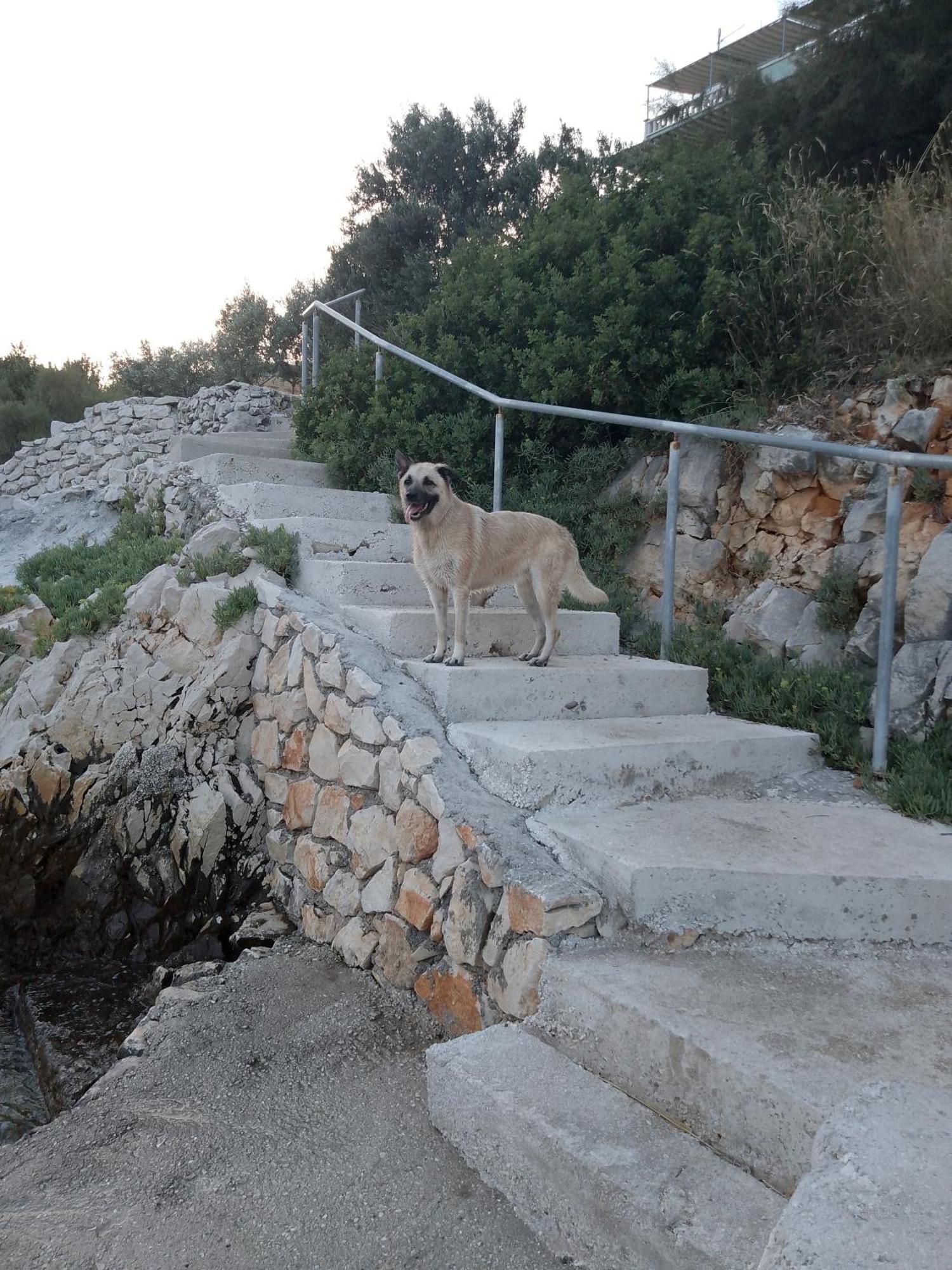 Villa Pinky And Superior Trogir Seget Vranjica Exterior foto